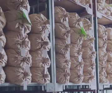 Paper Packaging 