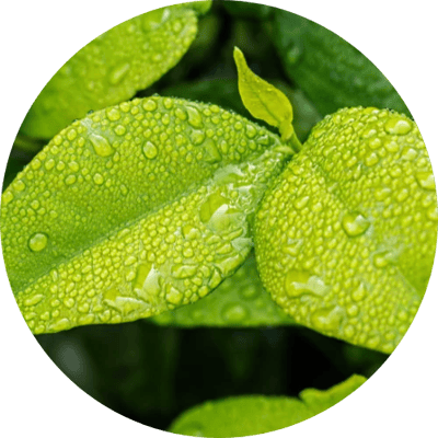 eco friendly packaging uk