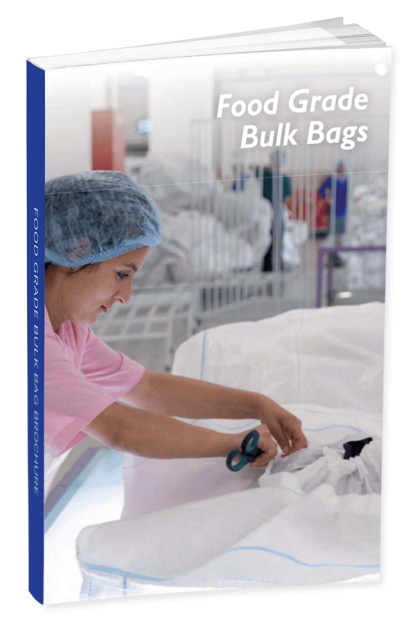 Food Grade Bulk Bag Brochure Mock-Up